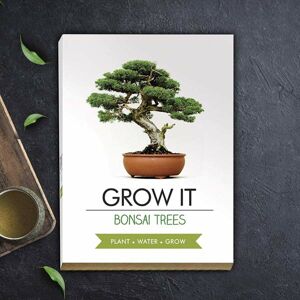 Grow it - Bonsai (mierne poškodená krabica)