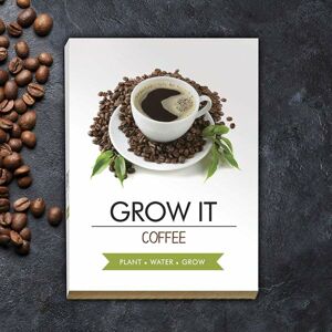 Grow it - káva (mierne poškodená krabica)