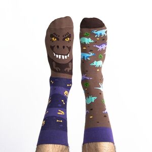 Ponožky dinosaurus T-Sox
