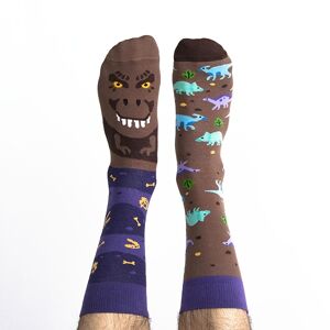 Ponožky dinosaurus T-Sox