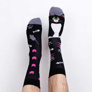 Ponožky kocúr Catsby